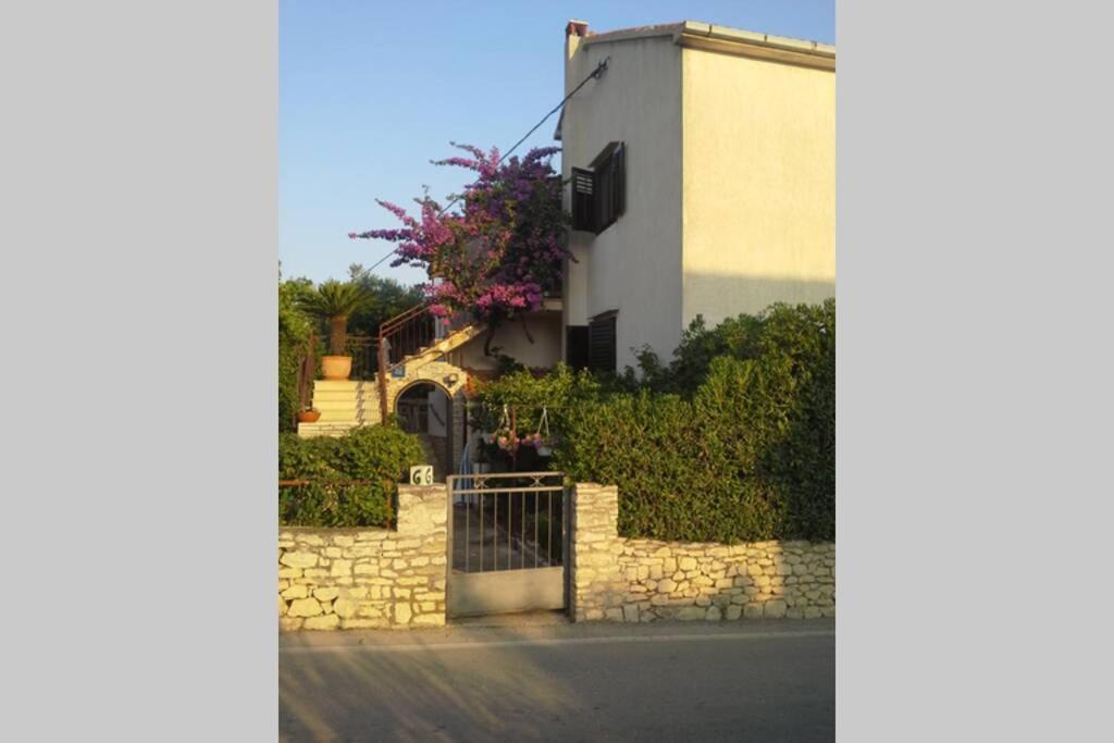 Apartment Luce 1 &