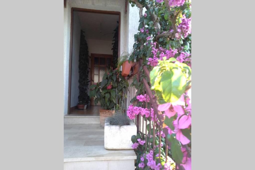 Apartment Luce 1 &