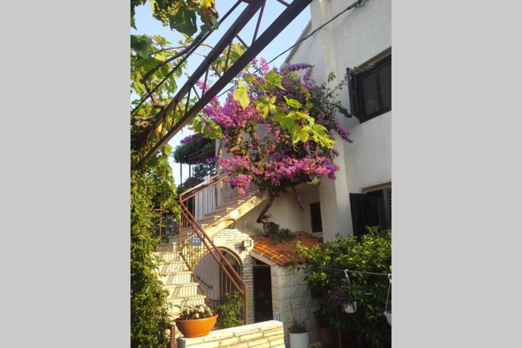 Apartment Luce 1 & Supetar